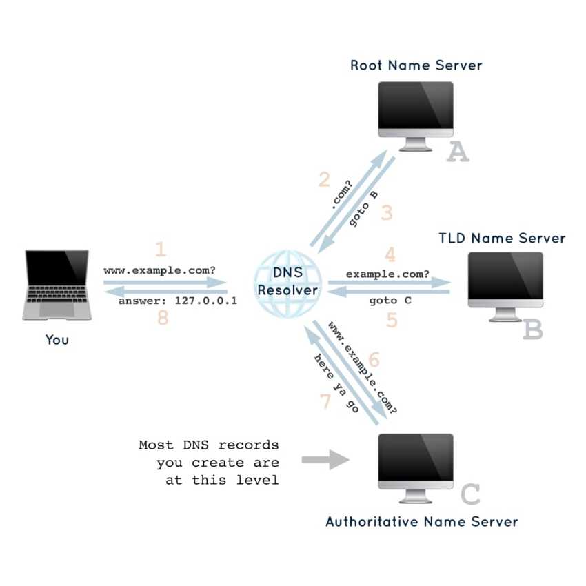 DNS Lookup